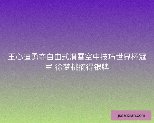 王心迪勇夺自由式滑雪空中技巧世界杯冠军 徐梦桃摘得银牌 王心迪勇夺自由式滑雪空中技巧世界杯冠军 徐梦桃摘得银牌